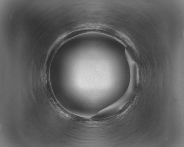 X0000083641172200702121116