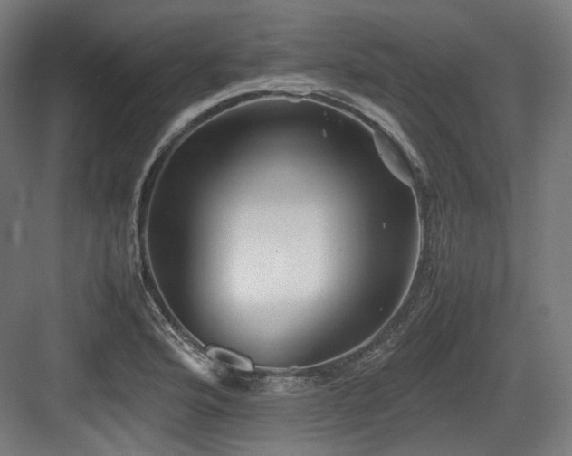 X0000083641176200702121116