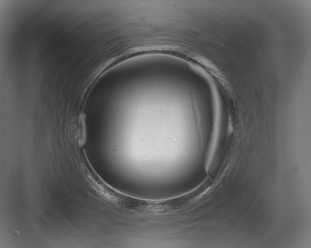 X0000083641177200702121116