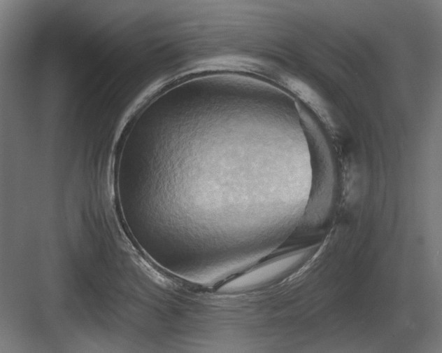 X0000083641180200702121116