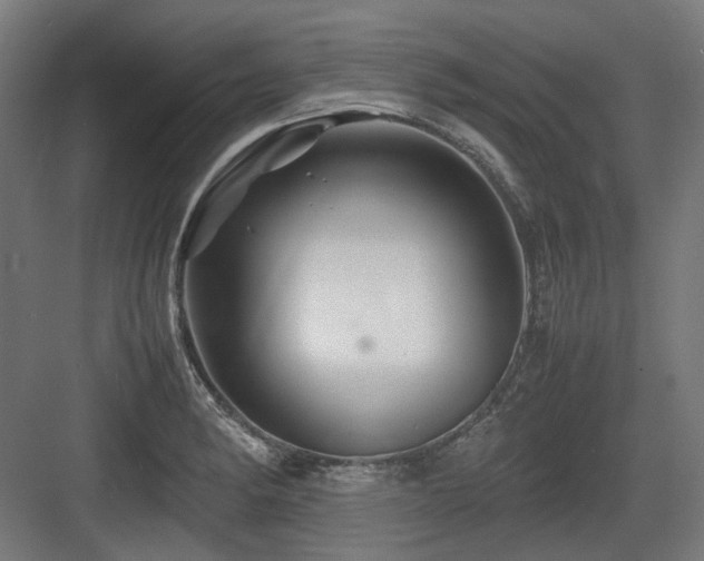 X0000083641182200702121116