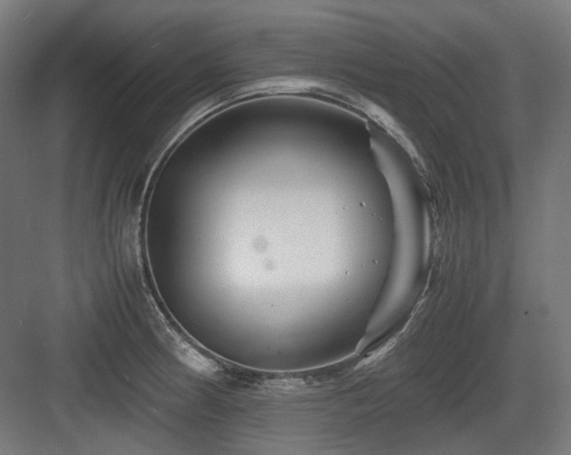 X0000083641186200702121116