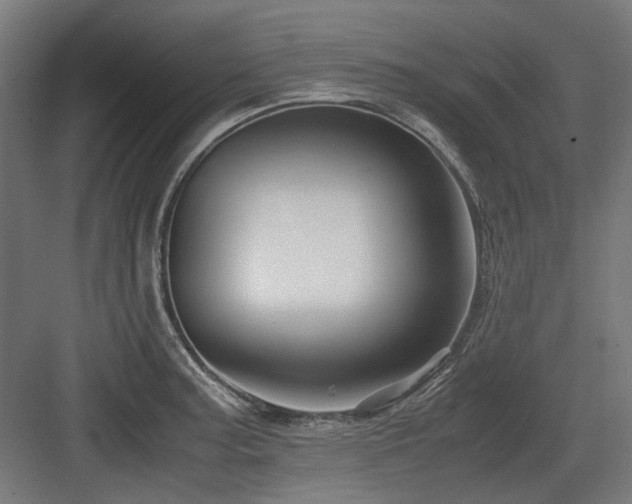 X0000083641187200702121116