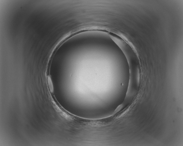 X0000083641189200702121116