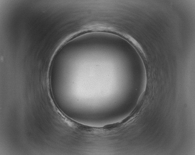 X0000083641191200702121116