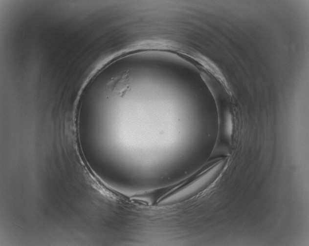 X0000083641192200702121116