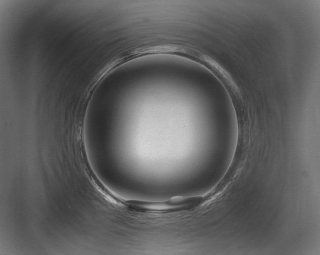 X0000083641193200702121116