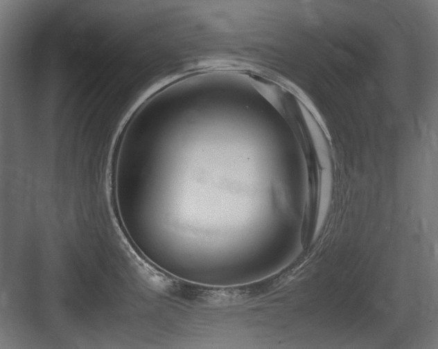 X0000083641195200702121116