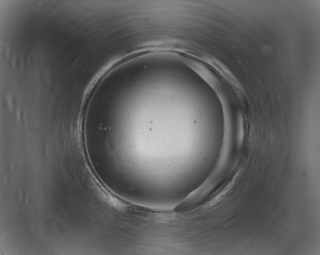 X0000083641196200702121116