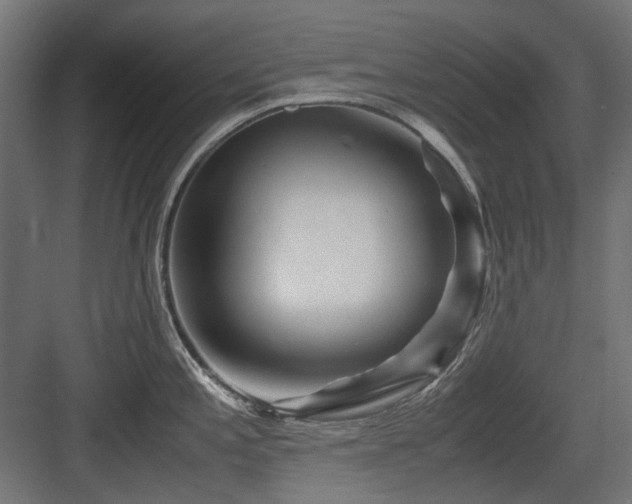 X0000083641197200702121116