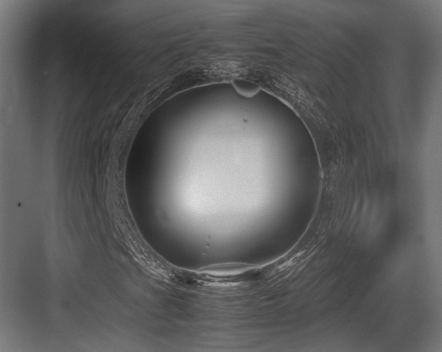 X0000083641201200702121115