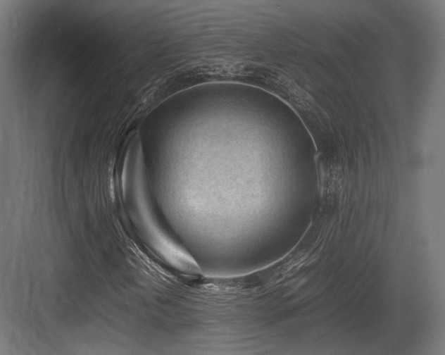 X0000083641202200702121115