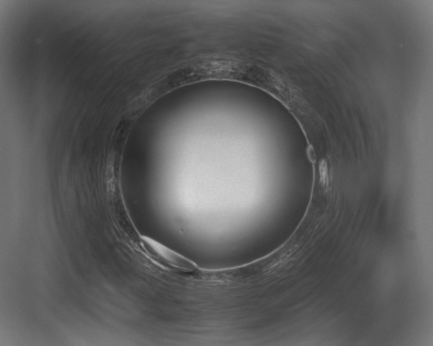 X0000083641203200702121115