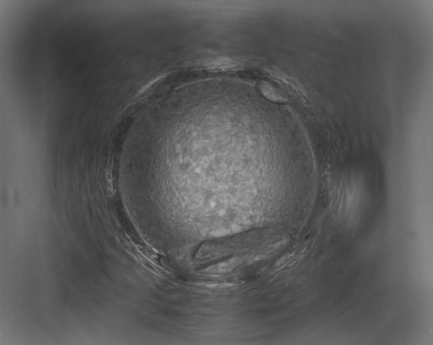 X0000083641205200702121115