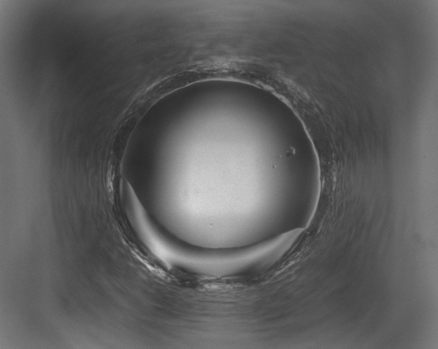 X0000083641206200702121115