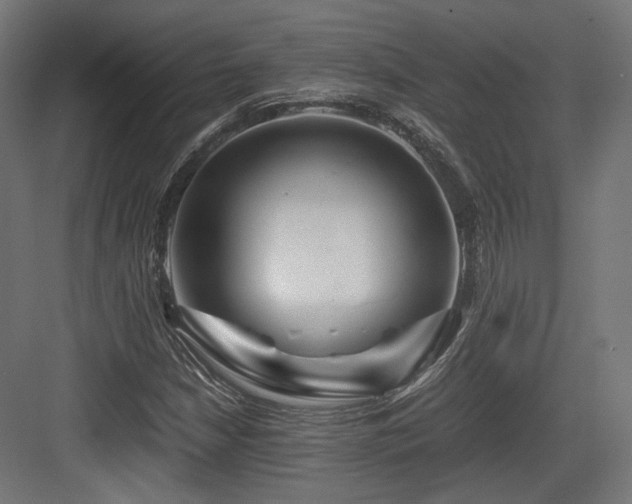 X0000083641210200702121115