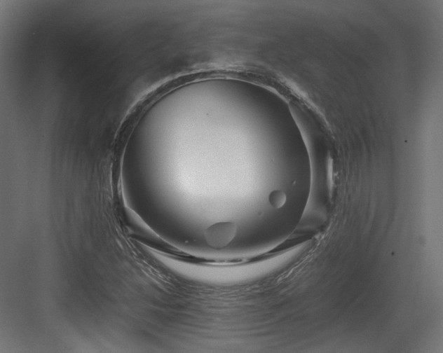 X0000083641214200702121115