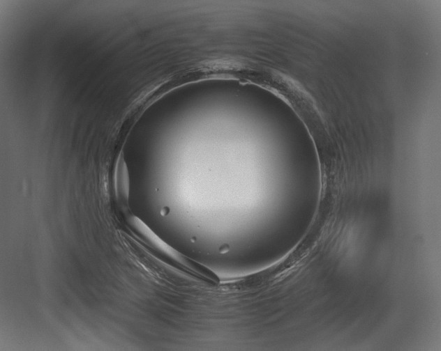 X0000083641217200702121115