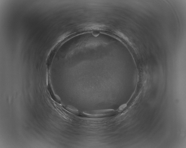 X0000083641219200702121115