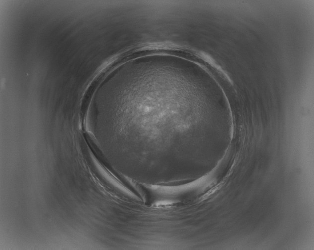 X0000083641221200702121115