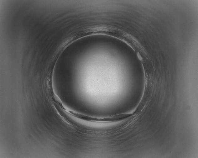 X0000083641225200702121115