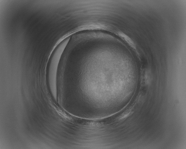 X0000083641226200702121115