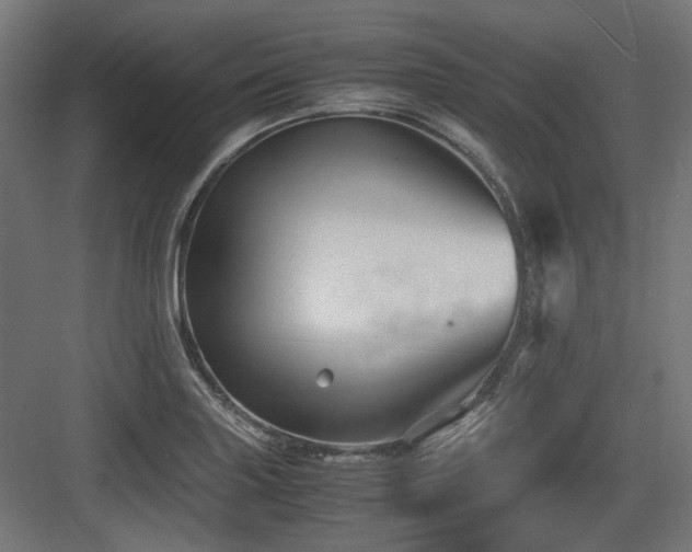 X0000083641227200702121115
