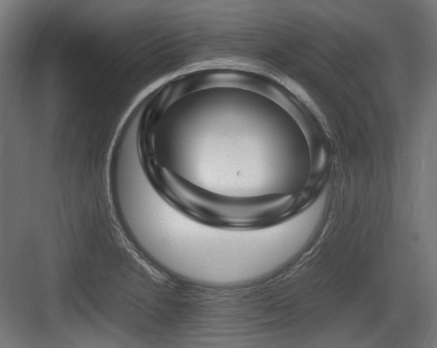 X0000083641230200702121115