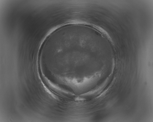 X0000083641231200702121115