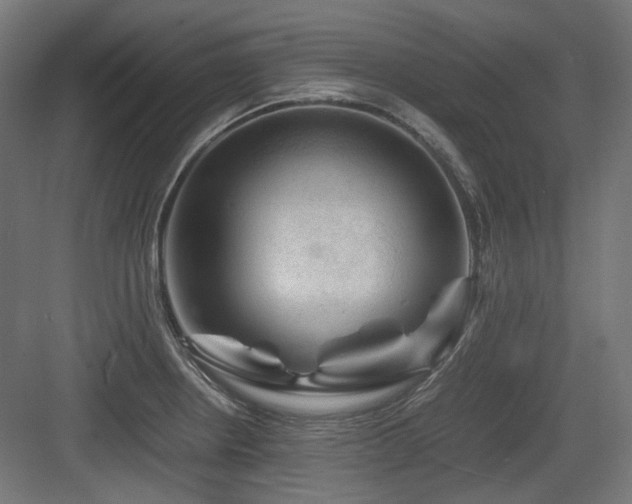 X0000083641234200702121115