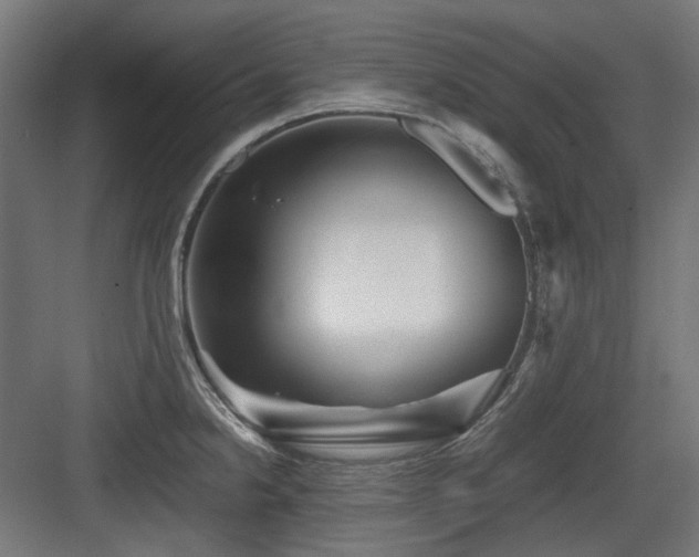 X0000083641238200702121116
