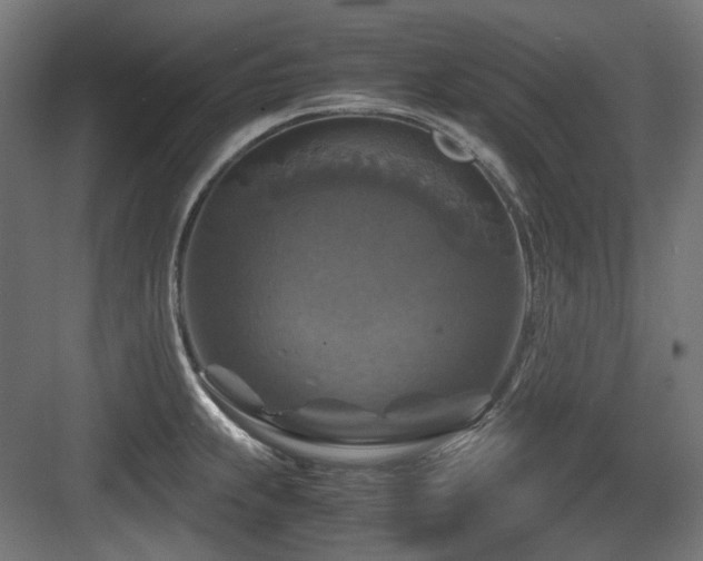 X0000083641239200702121116