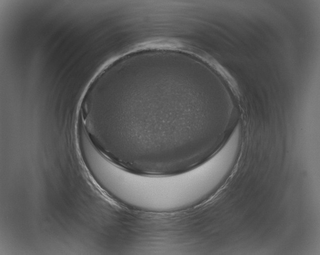 X0000083641240200702121116