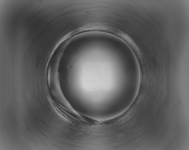 X0000083641242200702121116