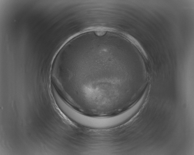 X0000083641244200702121116