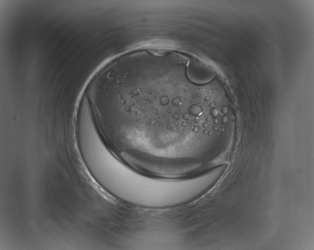 X0000083641248200702121116