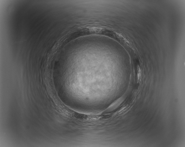 X0000083641249200702121115