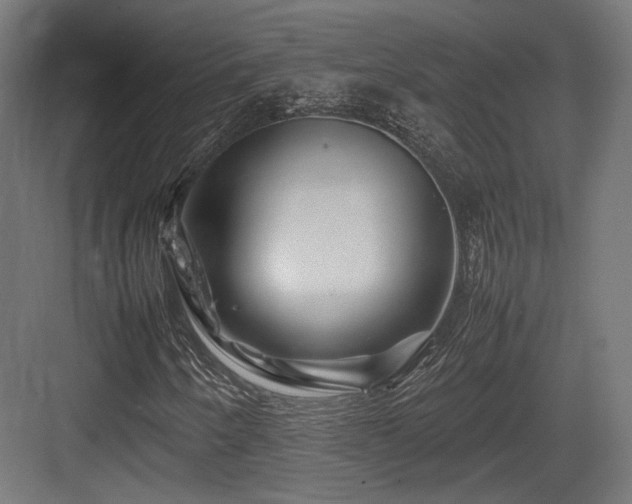 X0000083641250200702121115