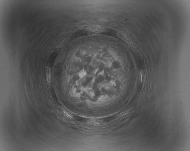 X0000083641251200702121115