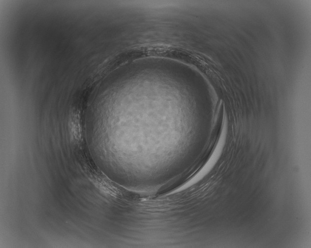 X0000083641252200702121115