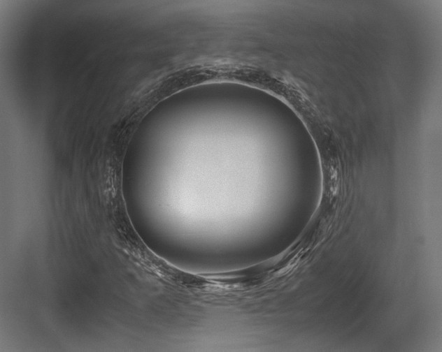 X0000083641253200702121115