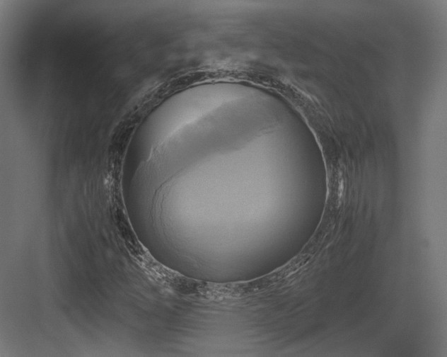 X0000083641254200702121115