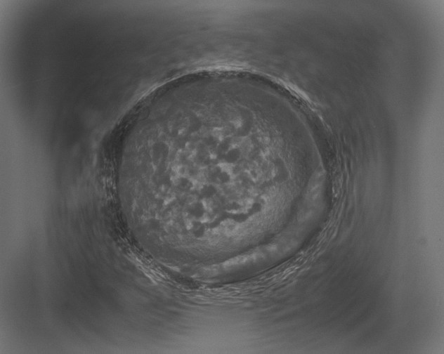 X0000083641255200702121115