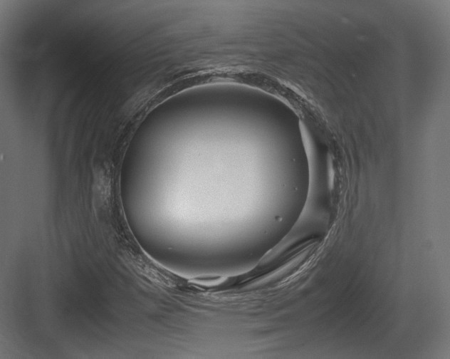 X0000083641257200702121115