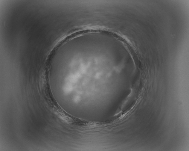 X0000083641263200702121115