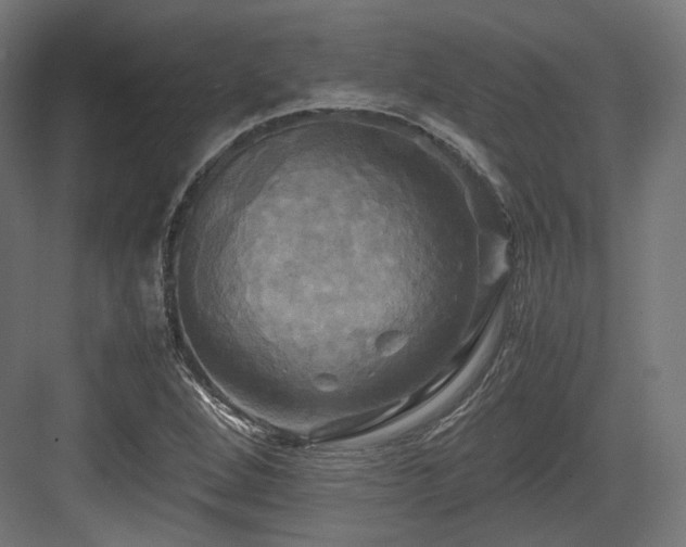 X0000083641264200702121115
