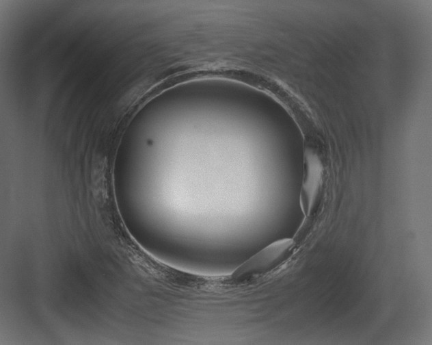 X0000083641265200702121115