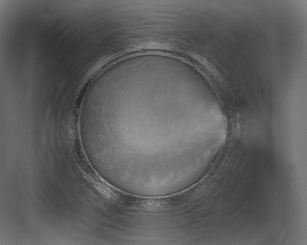 X0000083641266200702121115