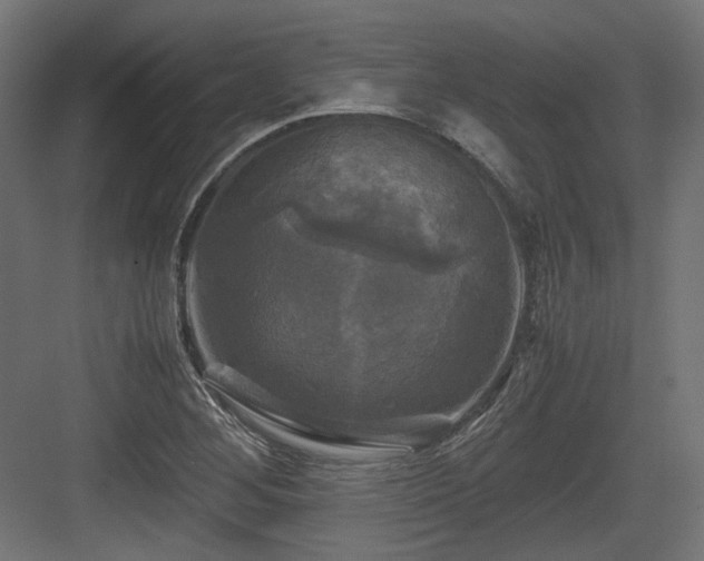 X0000083641268200702121115
