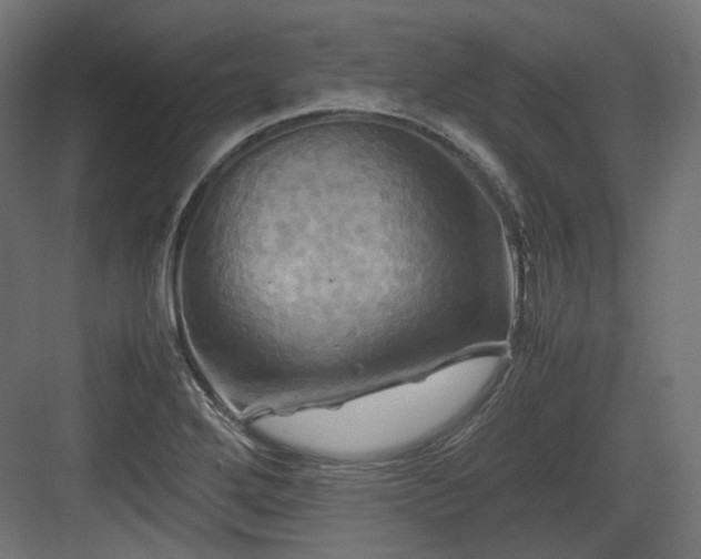 X0000083641272200702121115